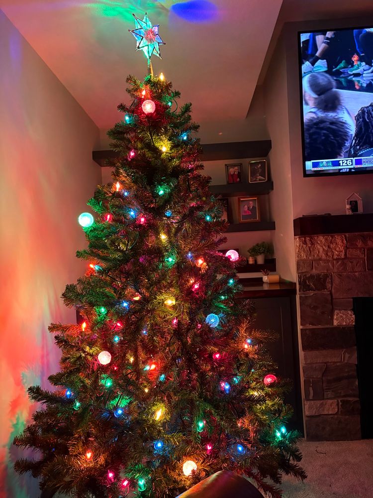 A Christmas tree with 175 colorful lights but no ornaments (yet)