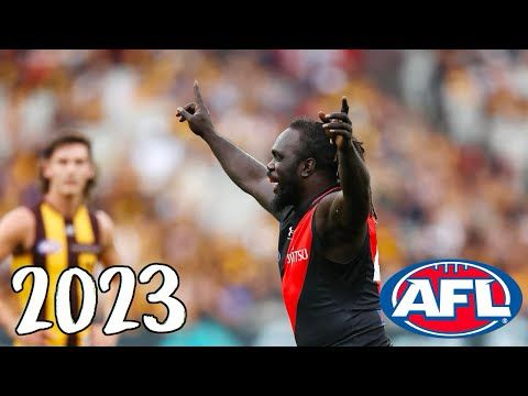 Anthony McDonald-Tipungwuti 2023 AFL Highlights