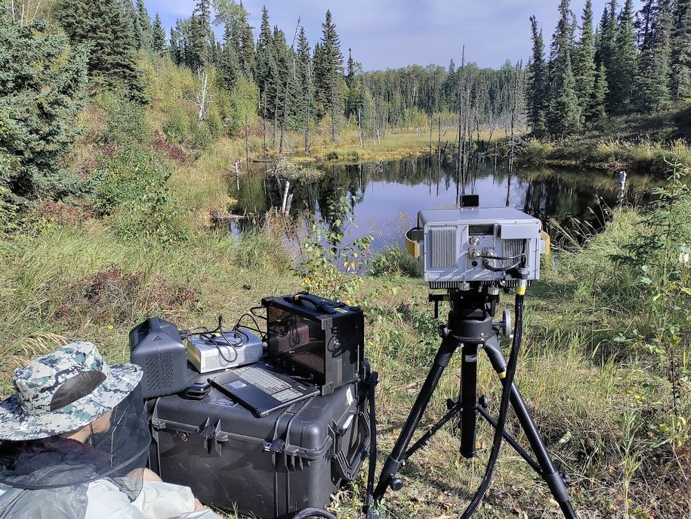 Wetland site with scientific equipment measuring it.