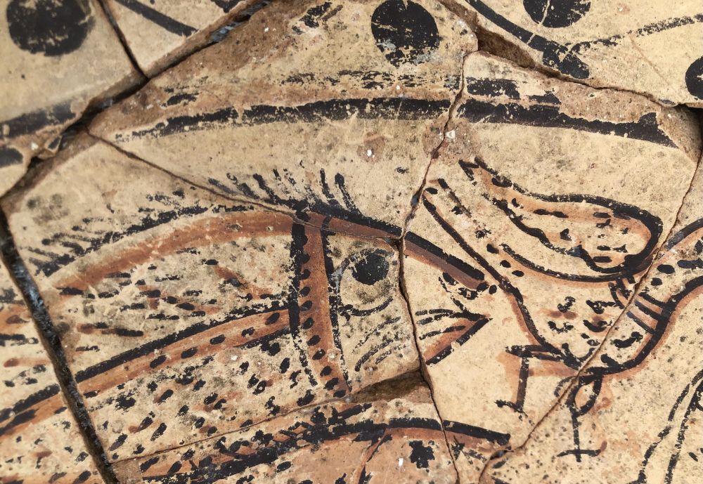 Detail of a broken plate of a pale colour which has the outline of fish and birds painted in black and red lines
