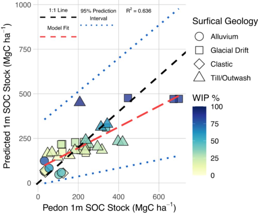 Revealing the hidden carbon in forested wetland soils - Nature Communications