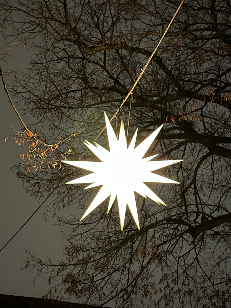 Ein großer hell leuchtender Stern mit vielen Zacken hängt oben unter den Ästen eines Baumes