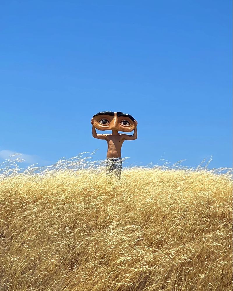 A shirtless person stands in a golden field of tall grass, holding up a large, hand-crafted mask with exaggerated eyes against a vast blue sky