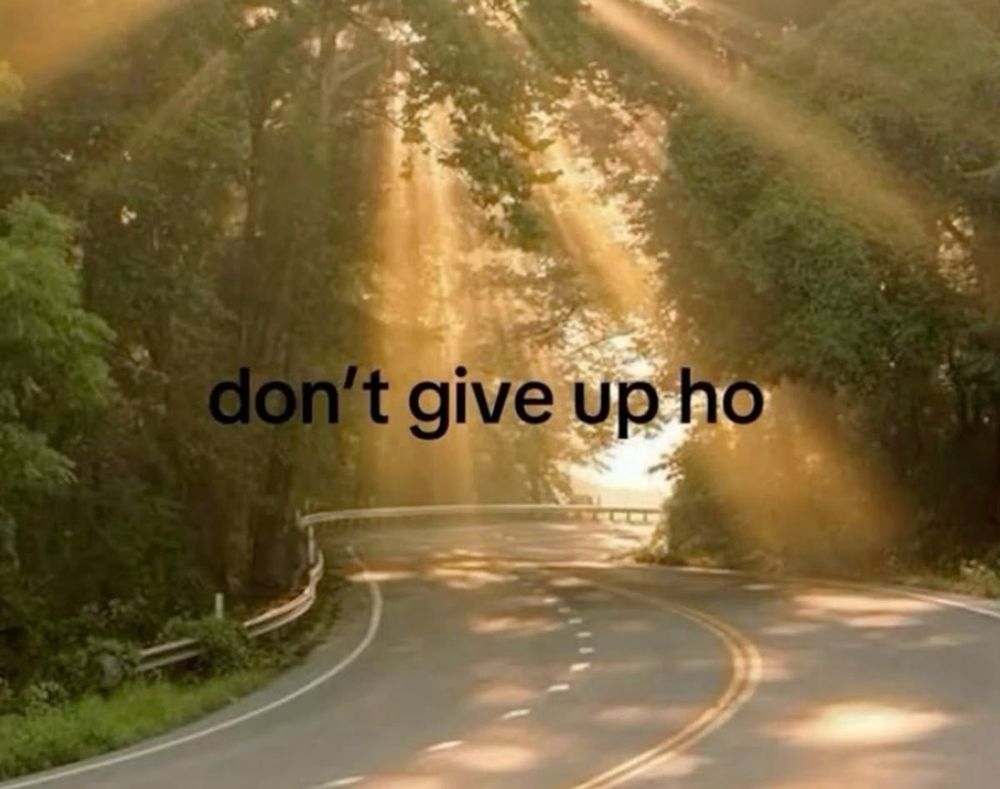 Meme of a winding road surrounded by trees. Rays of sunlight are peeking through the trees. In black text it says “don’t give up ho” 