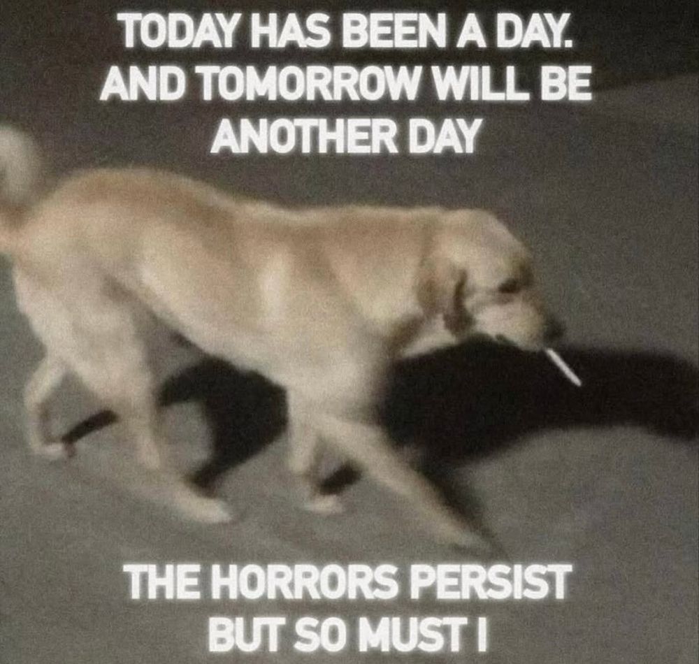 Meme: picture of a dog walking with what looks like a cigarette in its mouth with the text “TODAY HAS BEEN A DAY AND TOMORROW WILL BE ANOTHER DAY THE HORRORS PERSIST BUT SO MUST I”