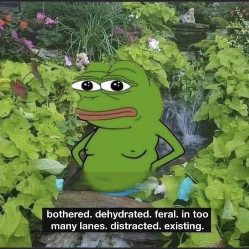 Picture of Pepe the frog in a pond with plants everywhere. Text reads” bothered. dehydrated. feral. in too many lanes. distracted. existing.”