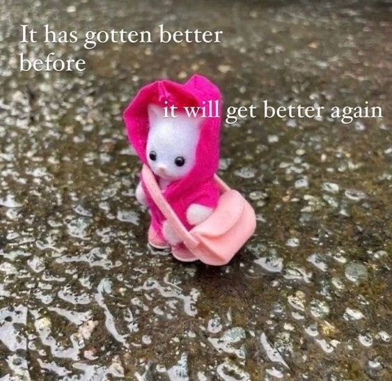 Meme: picture of a little white calico critter in a pink jacket holding a pink purse standing in the rain with text that reads “It has gotten better before it will get better again”