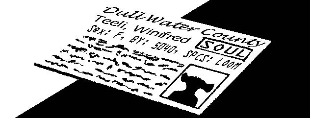 The fictional ID of one Winifred Teeli laying on an unknown surface