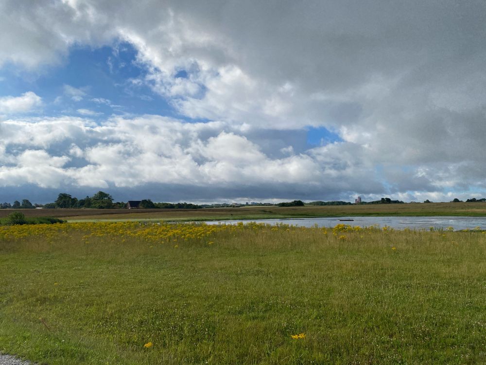 The observer looks over a grassy field with a small freshwater wetland on the middle left of the picture. On the horizon are some large deciduous trees. The sky is largely filled with dark grey cumulus clouds with some gaps of blue sky in between.