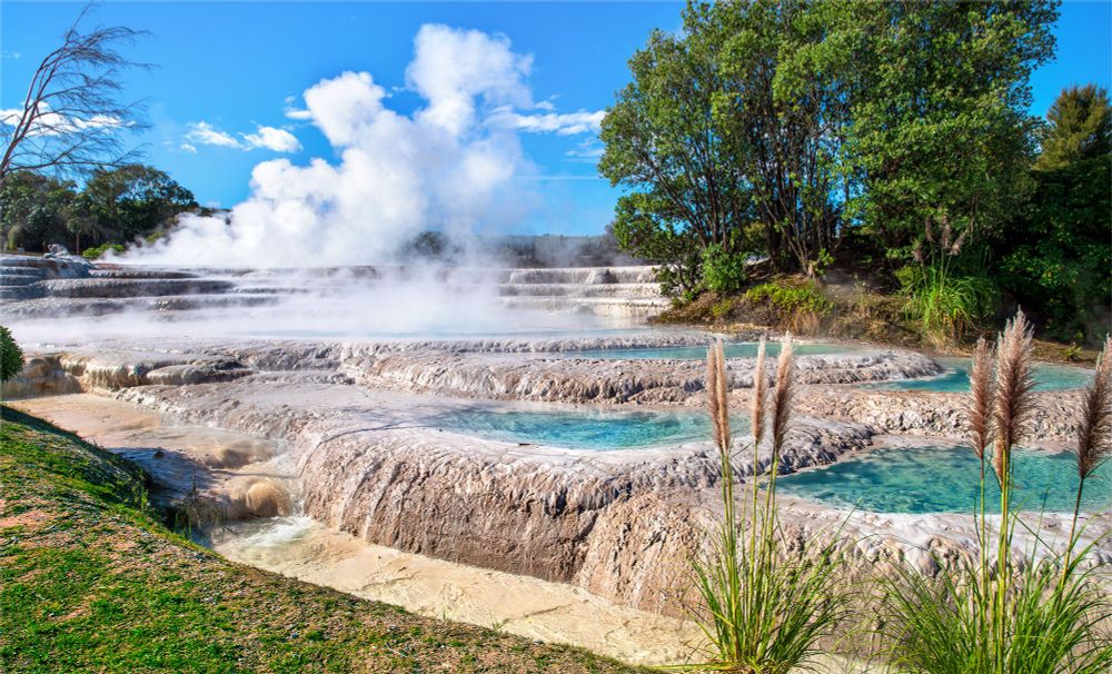 Steam coming off the Wairakei Terraces in Taupo, New Zealand with toetoe grass in the foreground.