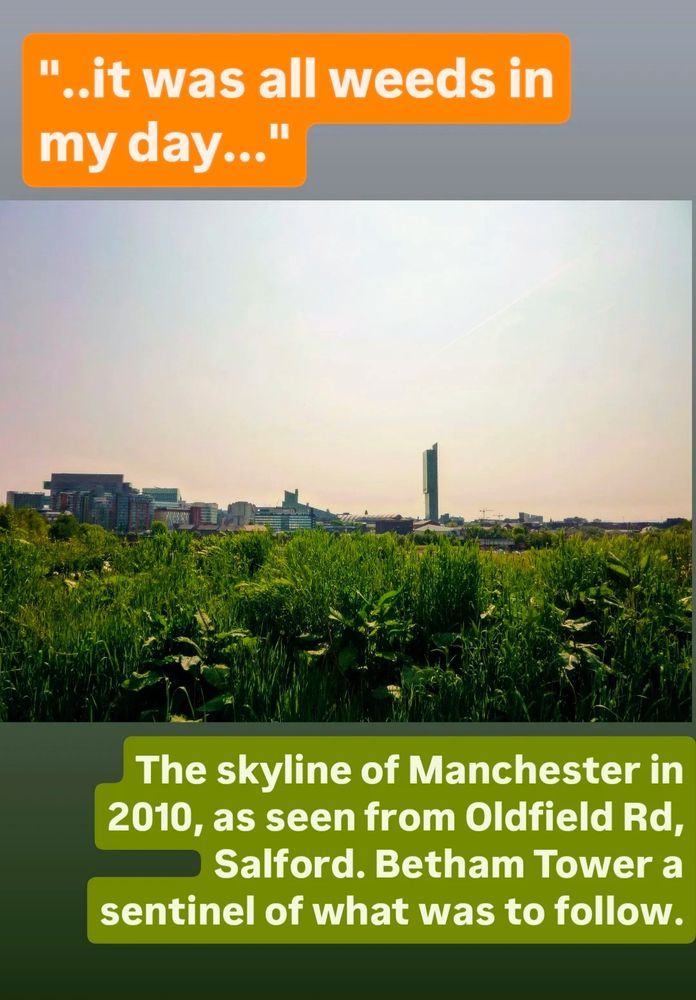 View of the Manchester skyline taken from Oldfield road, Salford in 2010 with one solitary skyscraper. Weeds in the foreground. 