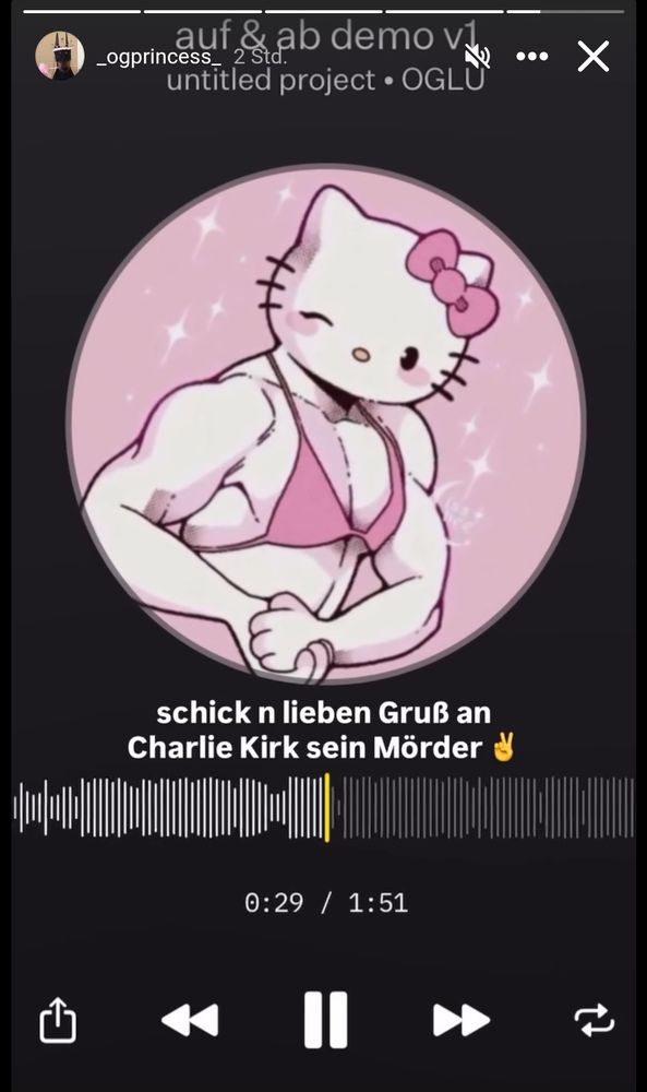 untitled project by og lu 
schick n lieben grusz an charlie kirk sein moerder 