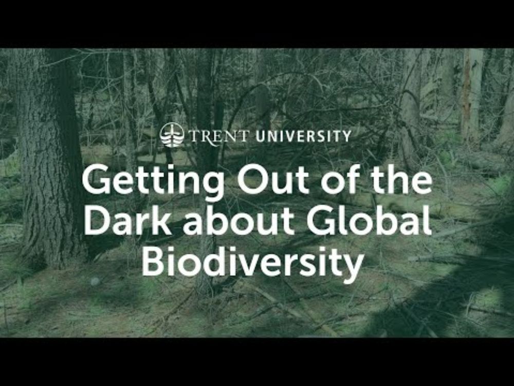 Getting Out of the Dark about Global Biodiversity