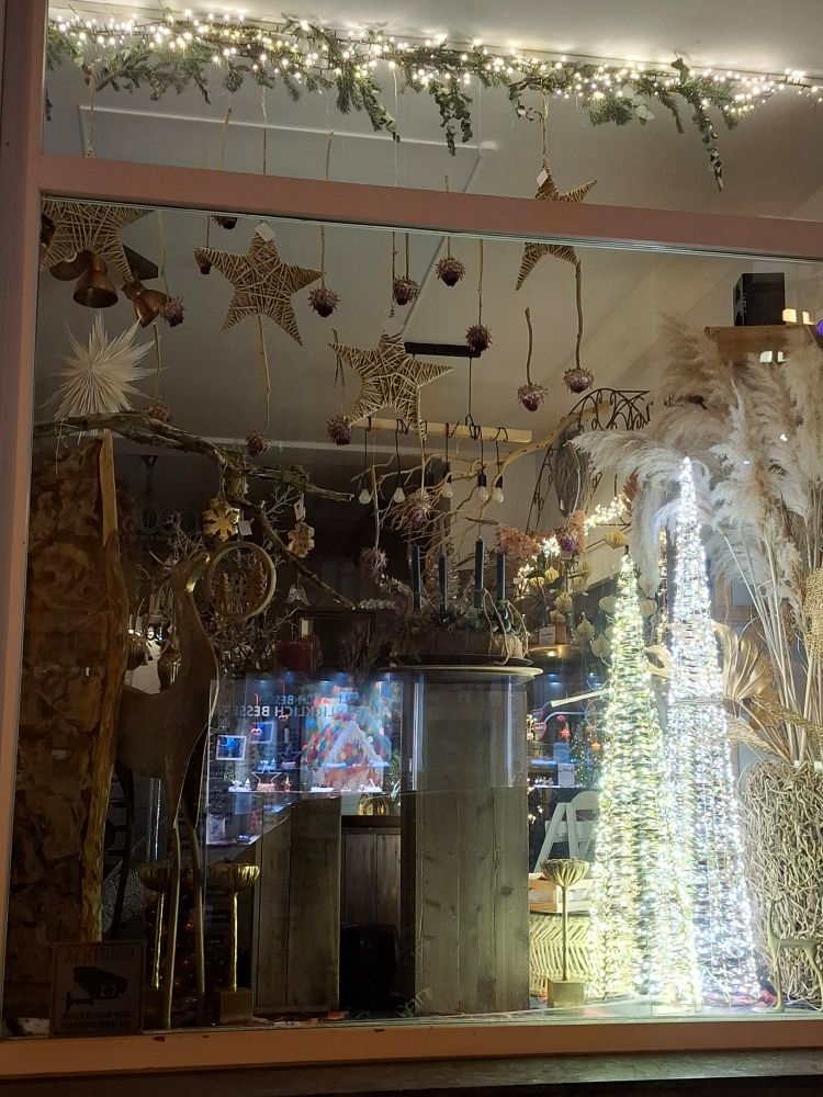 viele sterne und zwei leuchtbäume im schaufenster 