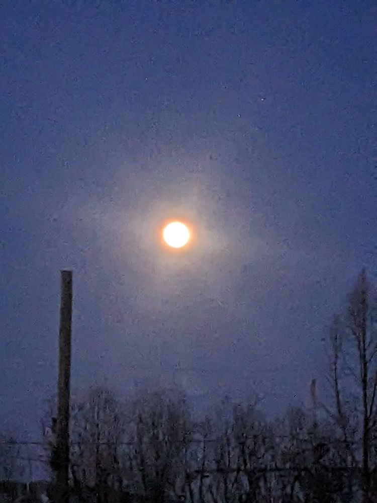A crummy photo of the full moon 