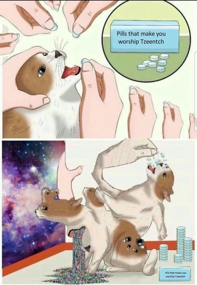 Cat fed pills that make you worship tzeentch, cat undergoes flesh change 