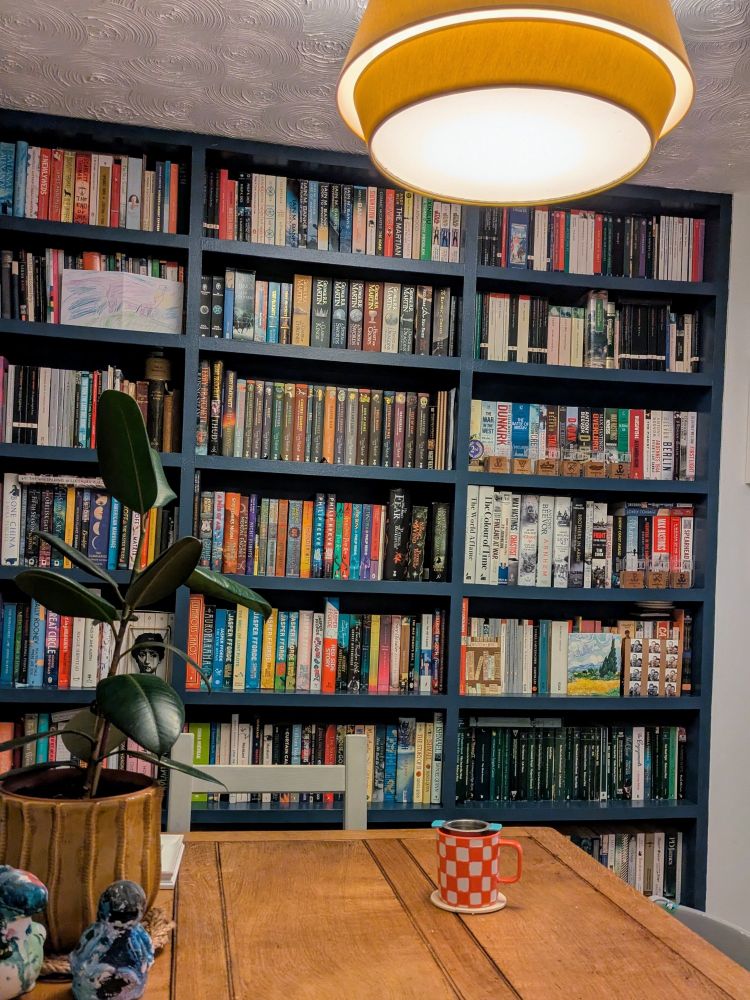 Photo of a full wall navy blue bookcase, crammed with colourful books.
Above hangs a yellow lampshade.
In the foreground is a wooden table top with a large plant in a yellow pot to the left.
