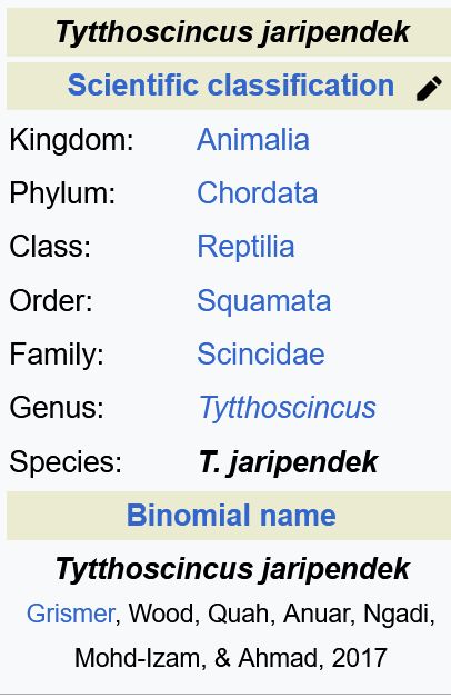 Tytthoscincus jaripendek

Scientific classification
Kingdom: Animalia
Phylum: Chordata
Class: Reptilia
Order: Squamata
Family: Scincidae
Genus: Tytthoscincus
Species: T. jaripendek

Binomial name: Tytthoscincus jaripendek
(Grismer, Wood, Quah, Anuar, Ngadi, Mohd-Izam, & Ahmad, 2017)