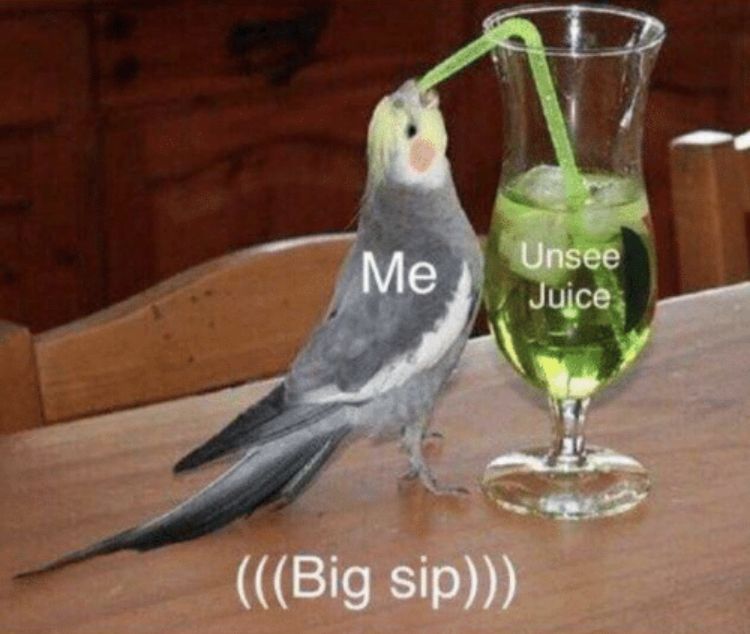Meme of a bird (labeled me) trying to drink something from a straw (labeled unsee juice) with the caption Big sip