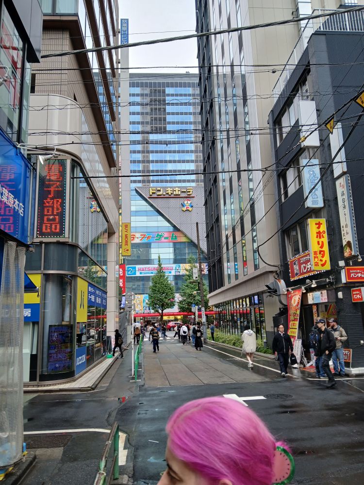 The alley near the overpass in Akihabara, a big Don Quichote sign can be seen on the building across the street.