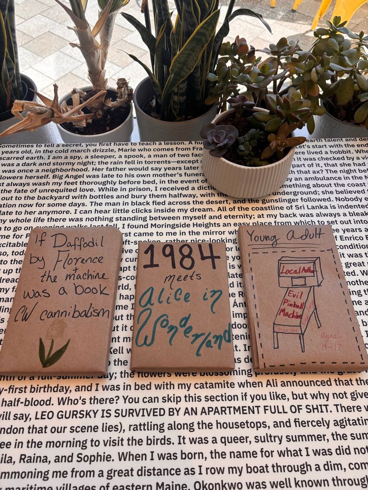 3 blind date books. One says “1984 Meets Alice in Wonderland”. Another says “Young Adult - Local Author - evil pinball machine” and the last says “If Daffodil by Florence and the Machine was a book CW cannibalism” 