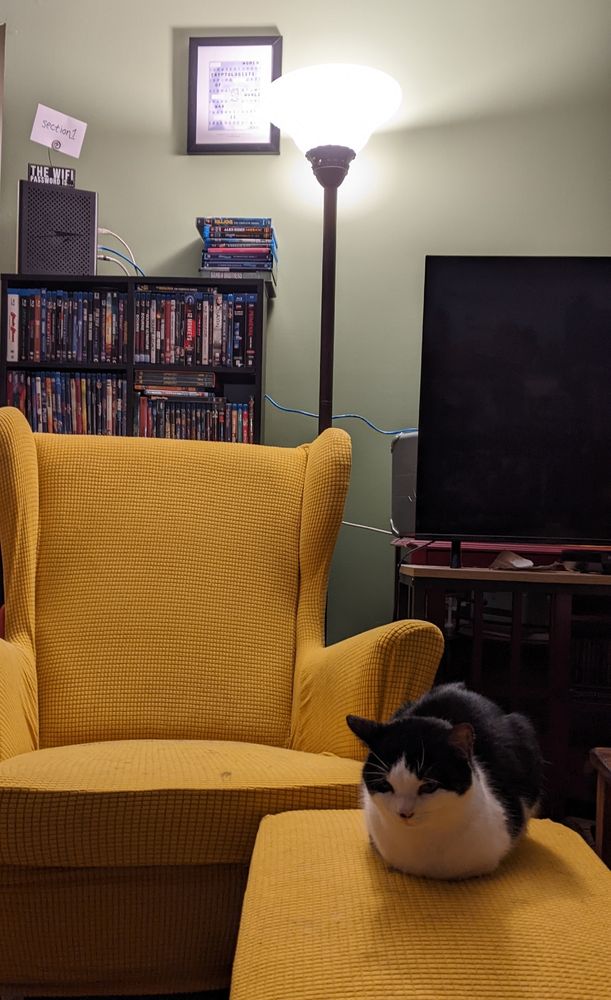 A small black and white cat sits like a perfect loaf enjoying the new ridiculously orange chair and ottoman covers we got for the IKEA chair. behind the chair is a shelf of blu-rays and DVDs. there is a console table in front of the media stand because I have too much furniture. a top the shelf is the modem and Wi-Fi router which definitely needs much much longer ethernet cables. 