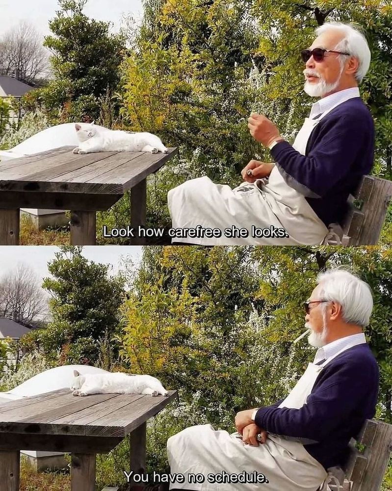 Hayao Miyazaki and his cat know how to live.
