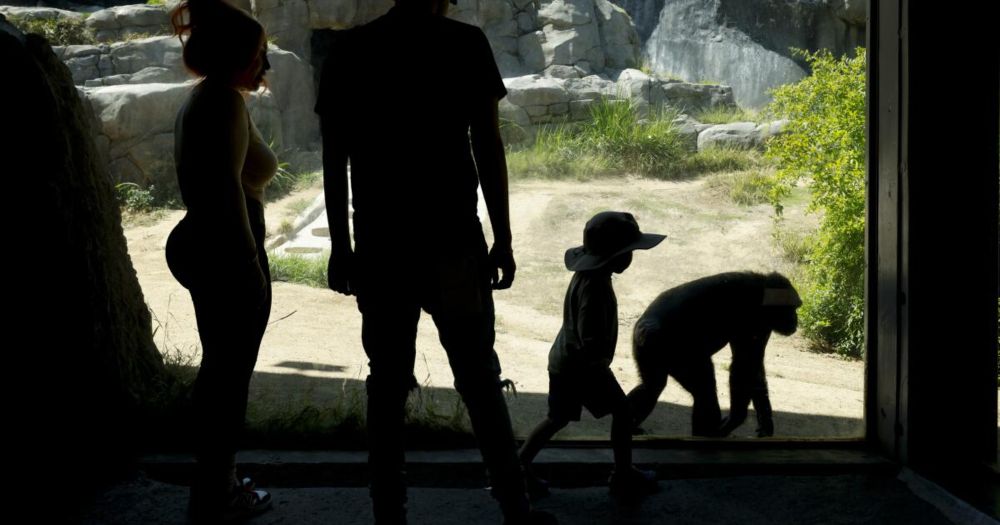Inside the L.A. Zoo's messy $50-million breakup