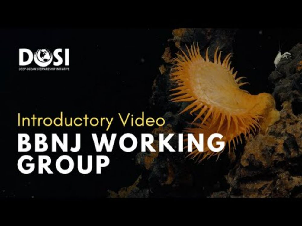 DOSI BBNJ Working Group - Introductory Video