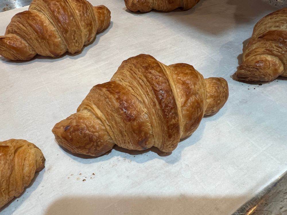 A photo of a cute little freshly-baked croissant on a baking tray with other cute little croissants 