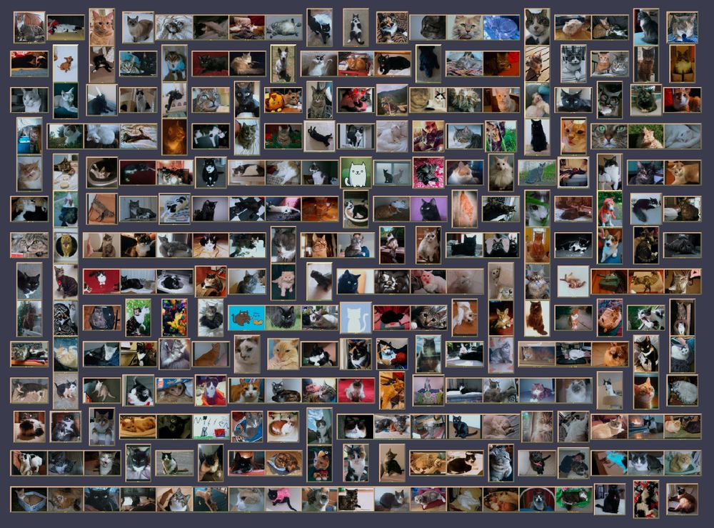 A 19x14 grid of the 266 photos (mostly cats, a couple dogs, and 1 lizard) that were submitted to be included in the game. They appear randomly in rooms and are added to an in-game collection when found