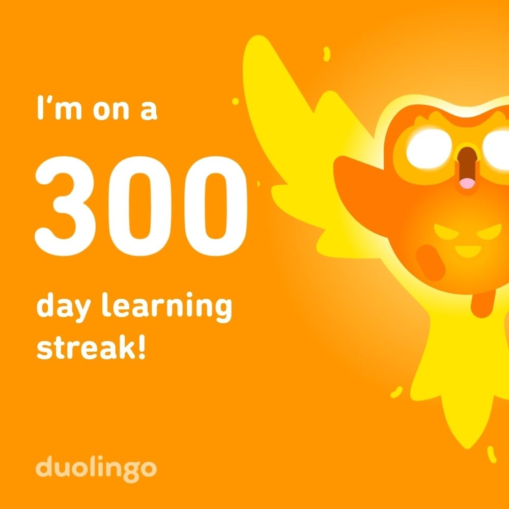 300 day learning streak