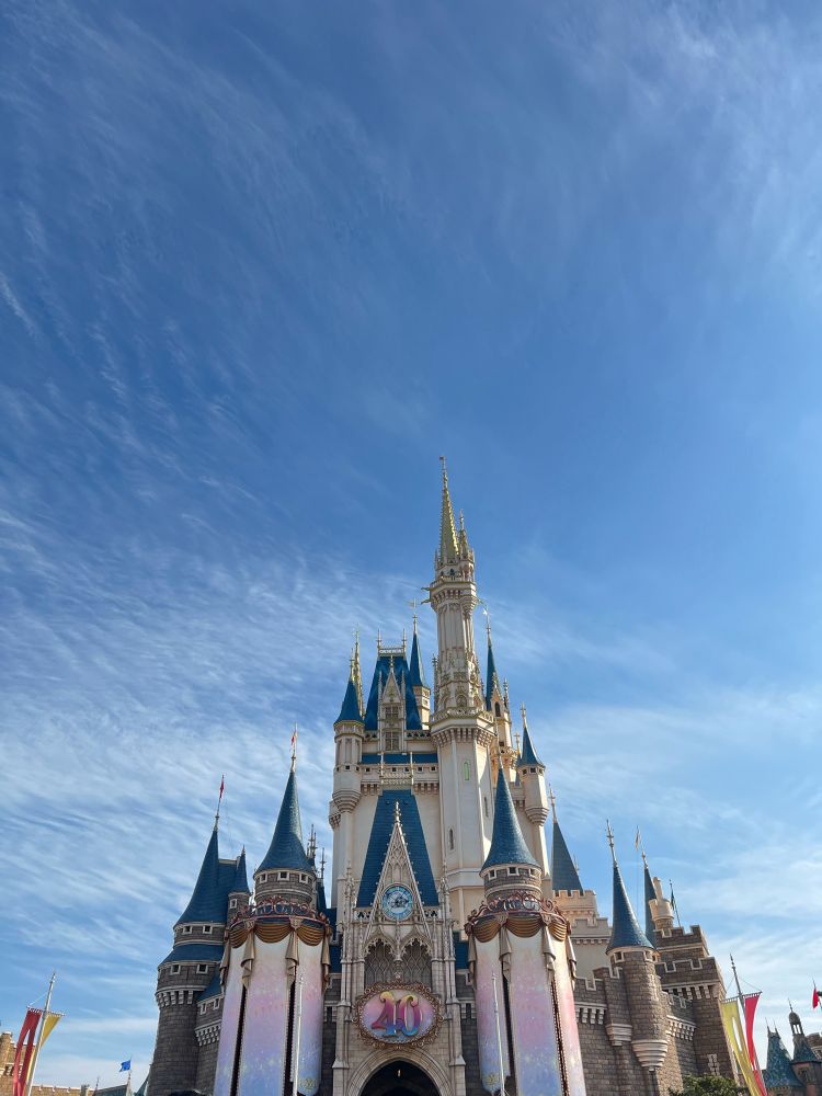 青空とシンデレラ城の写真