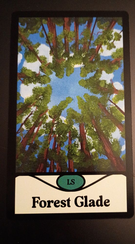 Forest Glade
A canopy of trees as if looking up from the forest floor, with a bright blue sky showing through at the top