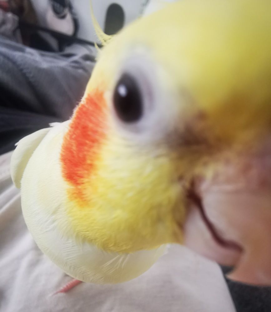 Hello, van egy kis magod?