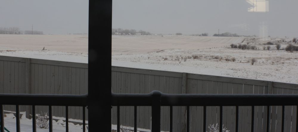 View of a snowy landscape behind a backyard railing and fence