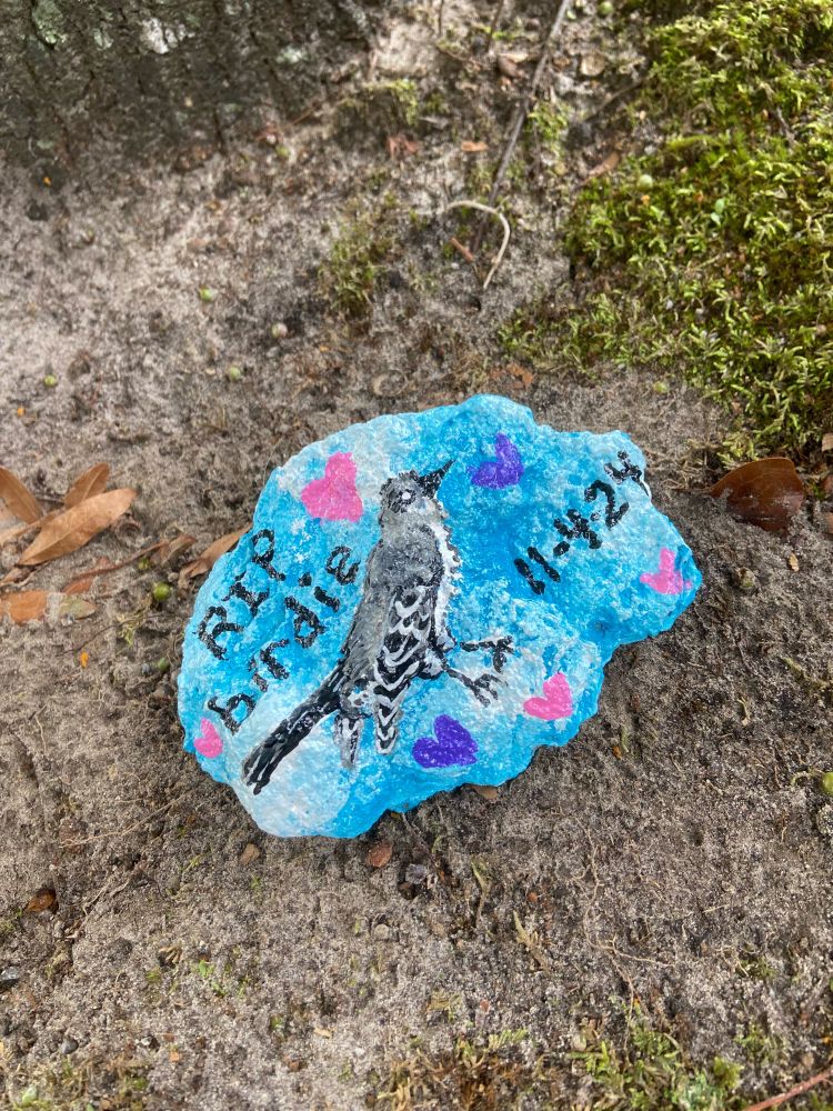 Blue and white sky painted rock with a mockingbird painted on it. It reads “RIP birdie” and the date of “11-4-24” with pink and purple hearts on it. It rests on the dirt under a tree. 