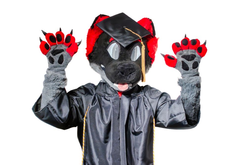 Mílur (my fursuit) in academic regalia.