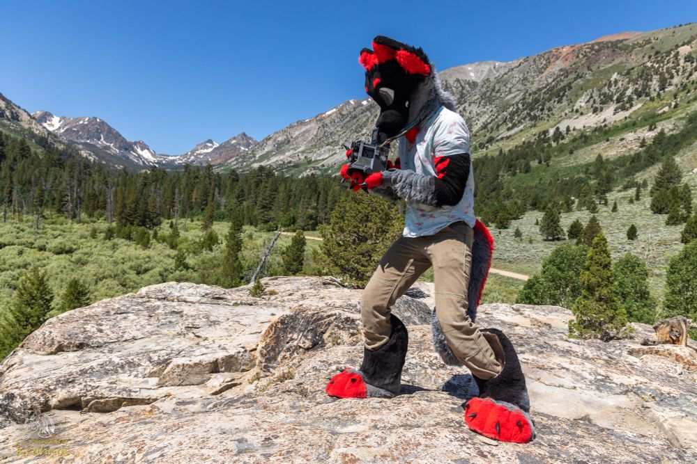 Me in fursuit, pretending to take a medium format film photo with a Mamiya C33.