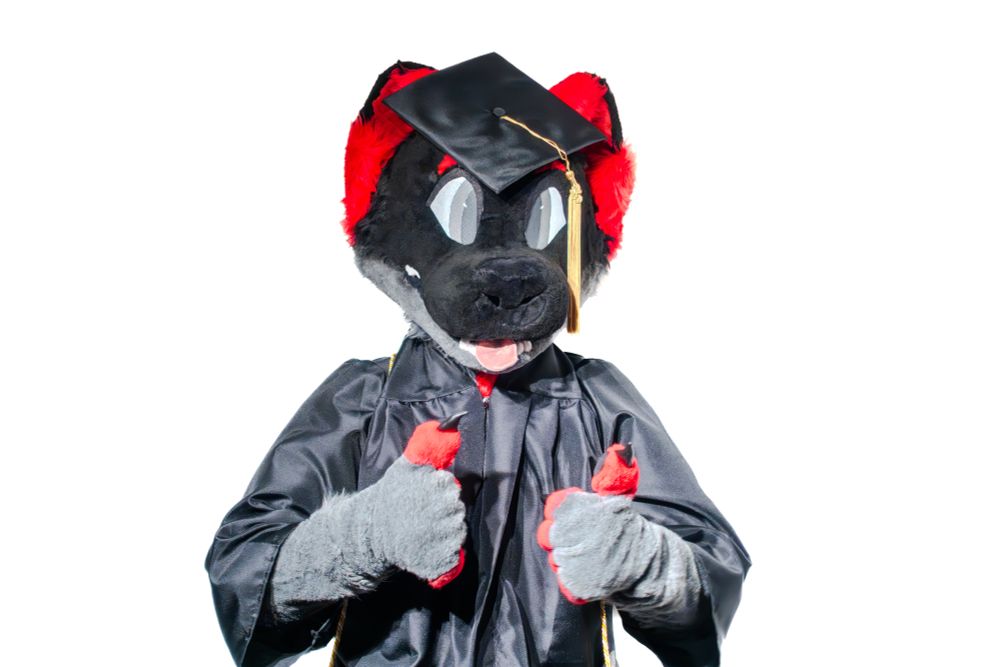 Mílur (my fursuit) in academic regalia, giving two thumbs up.