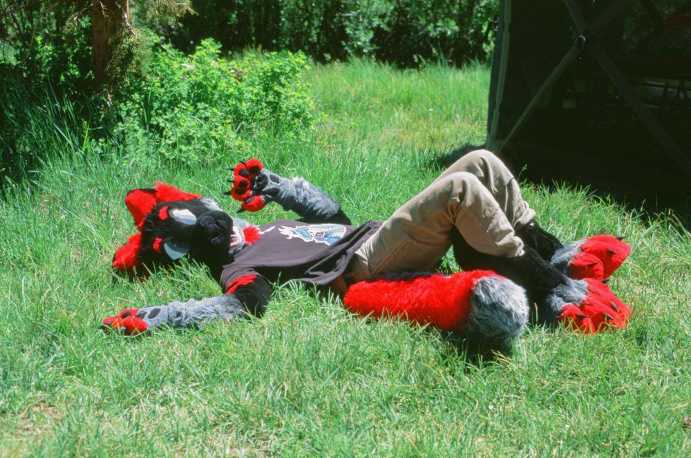 Me rolling around in the grass, in-fursuit.