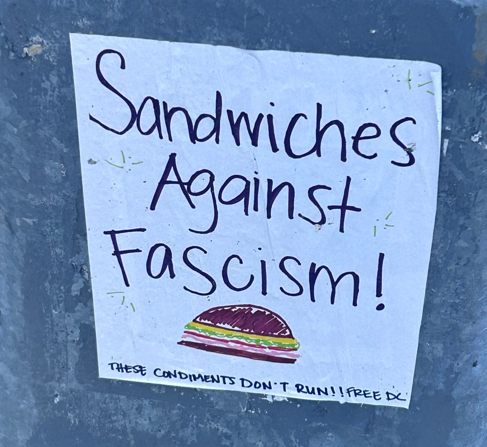 A poster in DC, handmade, that states “sandwiches against fascism” and “these condiments don’t run” as well as “free DC”