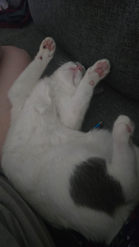 Jeremy relaxing 