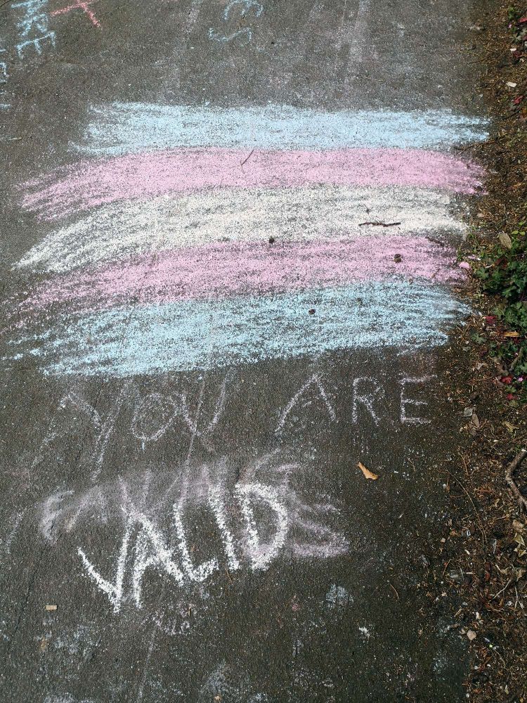 A roughly drawn trans flag in chalk on a pavement, with "You are Valid" written in capitals in white chalk underneath. 