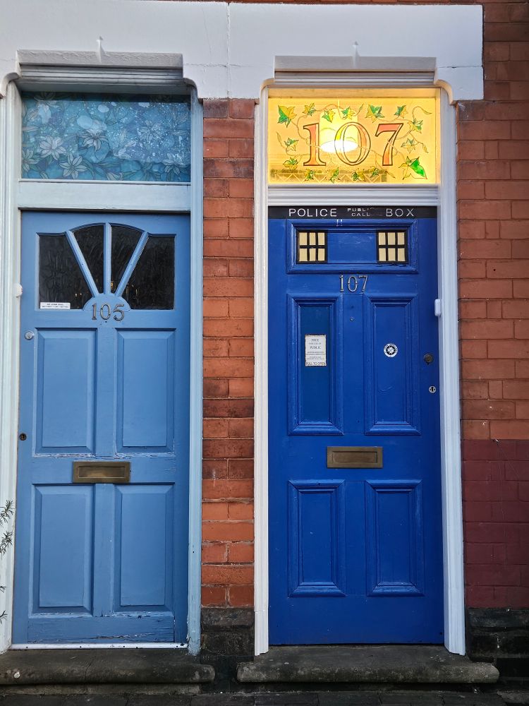 Two blue front doors, the left one is plain light blue. The right one is painted like the Tardis from Doctor Who. 