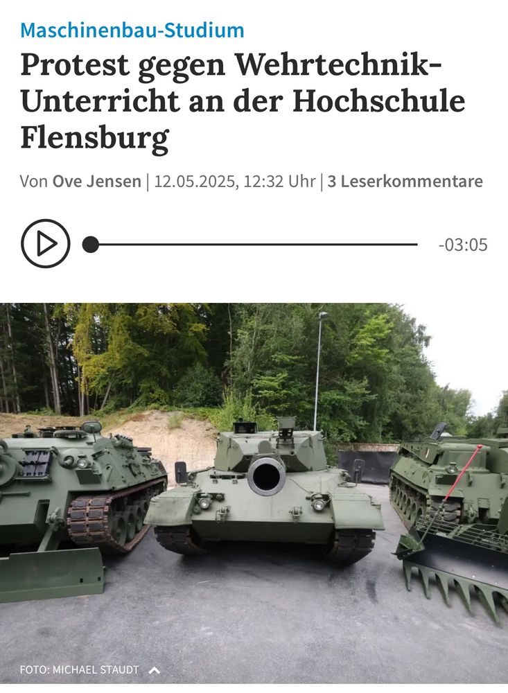 Screenshot Zeitungsartikel