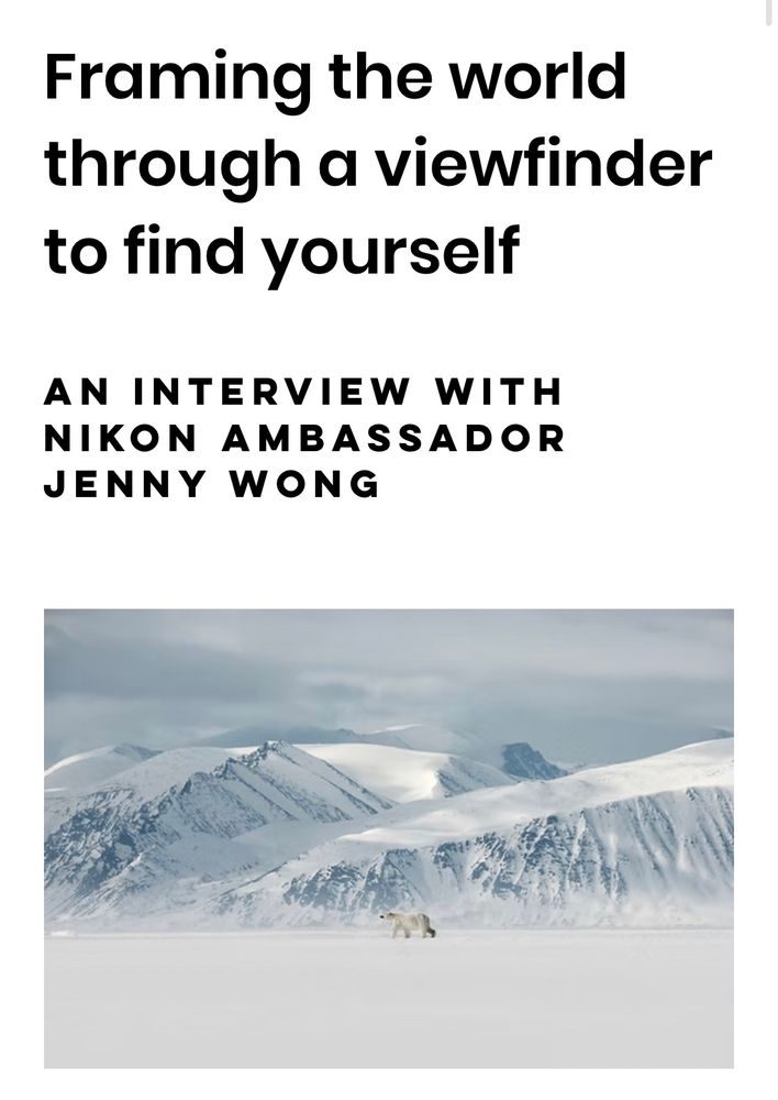 Screen shot of a web interview 