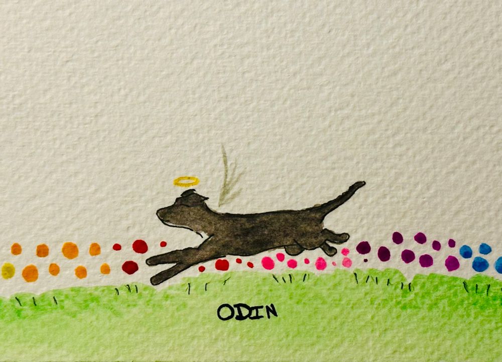 My vet painted a picture of my black dog, running in a green field with flowers.. his name, Odin, is written on the grass. He recently died, it's a sympathy card. I'm so sad he's gone 