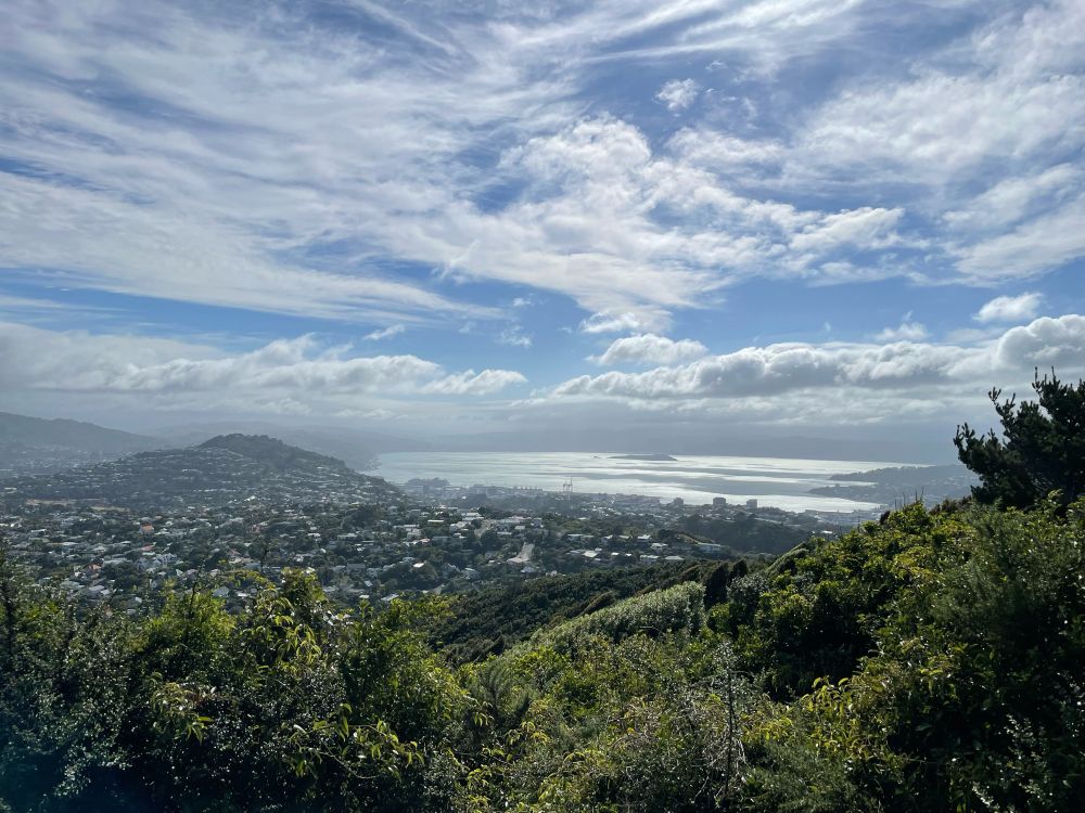 From Wright’s Hill