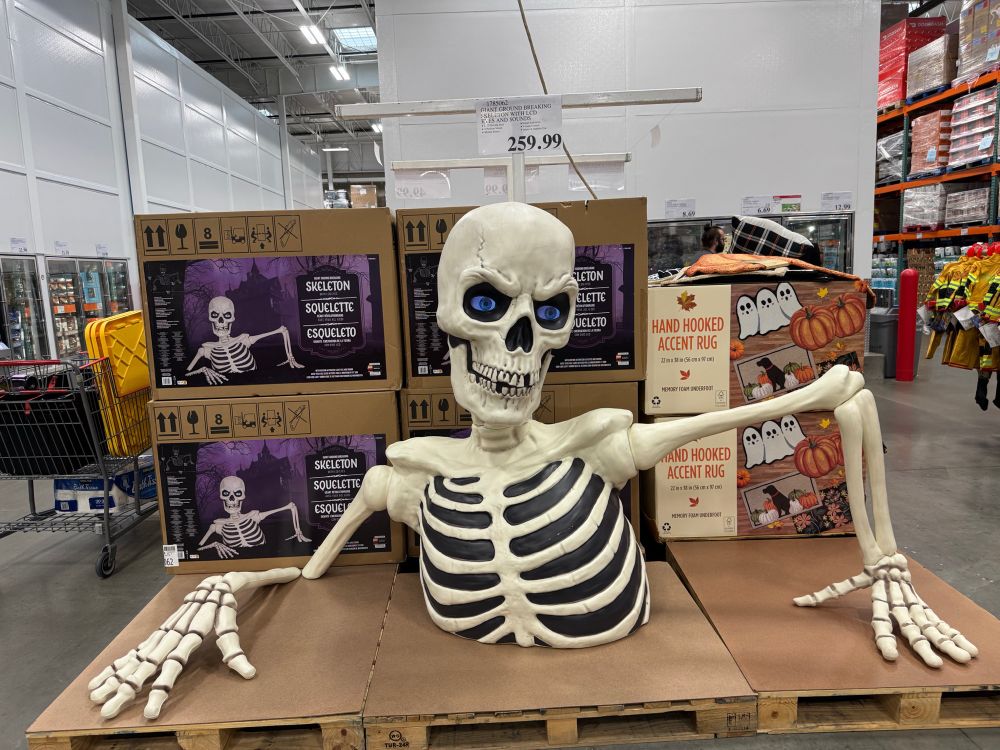 A gigantic plastic Halloween skeleton on display